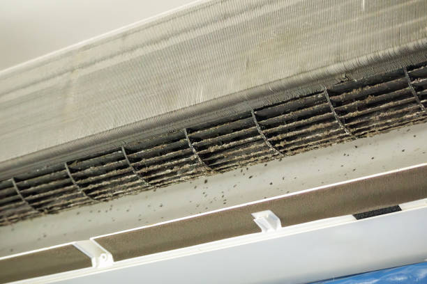 Best Duct Cleaning for Offices  in Mission, SD